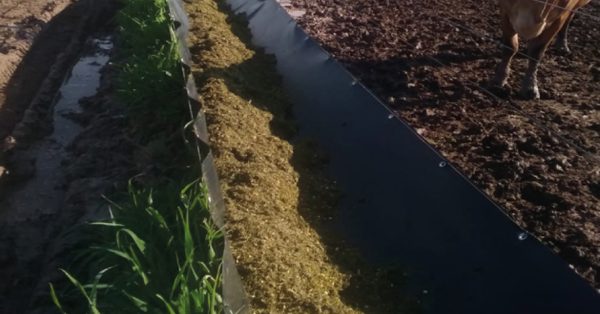 Comedero de Geomembrana para alimentación de ganado en feedlots o corrales. 