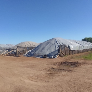 Cobertor para celdas australianas - AGRO