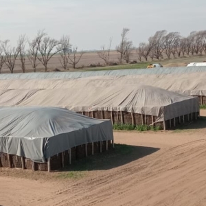 Cobertor para celdas australianas - AGRO