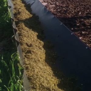 Comedero de Geomembrana - AGRO